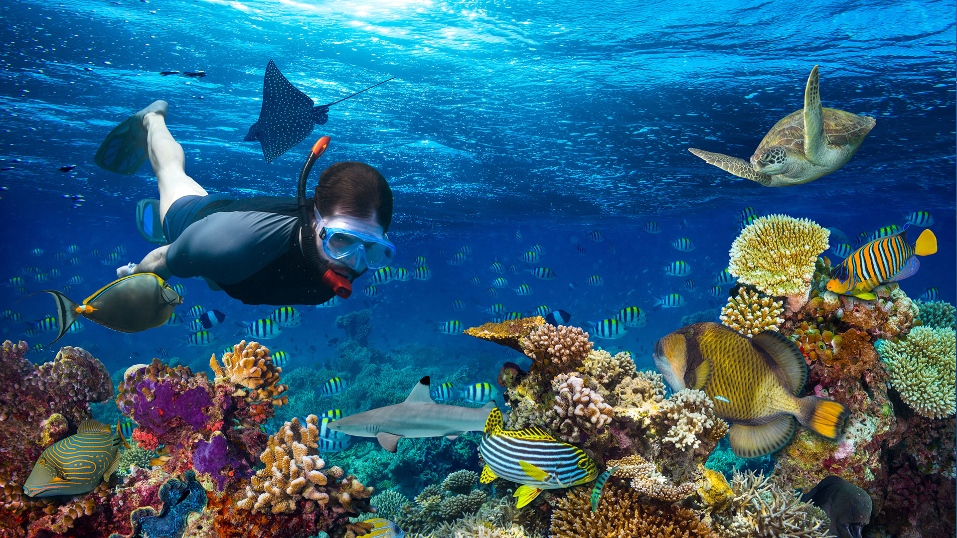 Maldives Snorkeling Experience